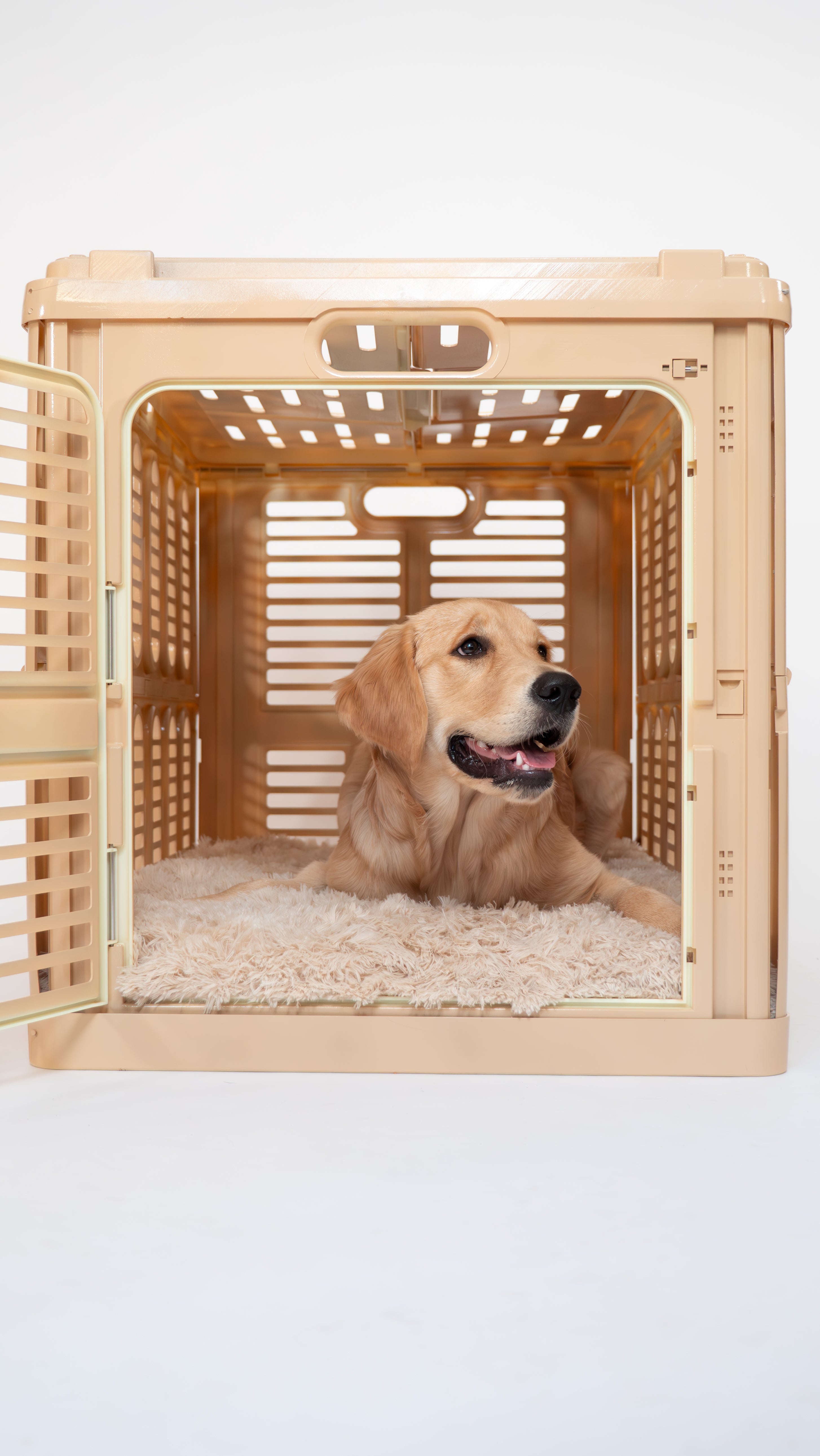 How long should you leave dog subtlest in crate